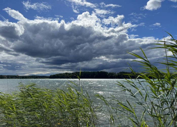 346104261_947417226575971_7745910683312582820_n