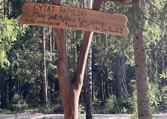 346104514_646747273935971_7034702200729727555_n