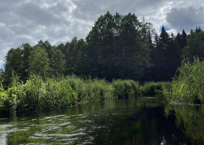 346104638_1289911025258057_3734109455030241251_n